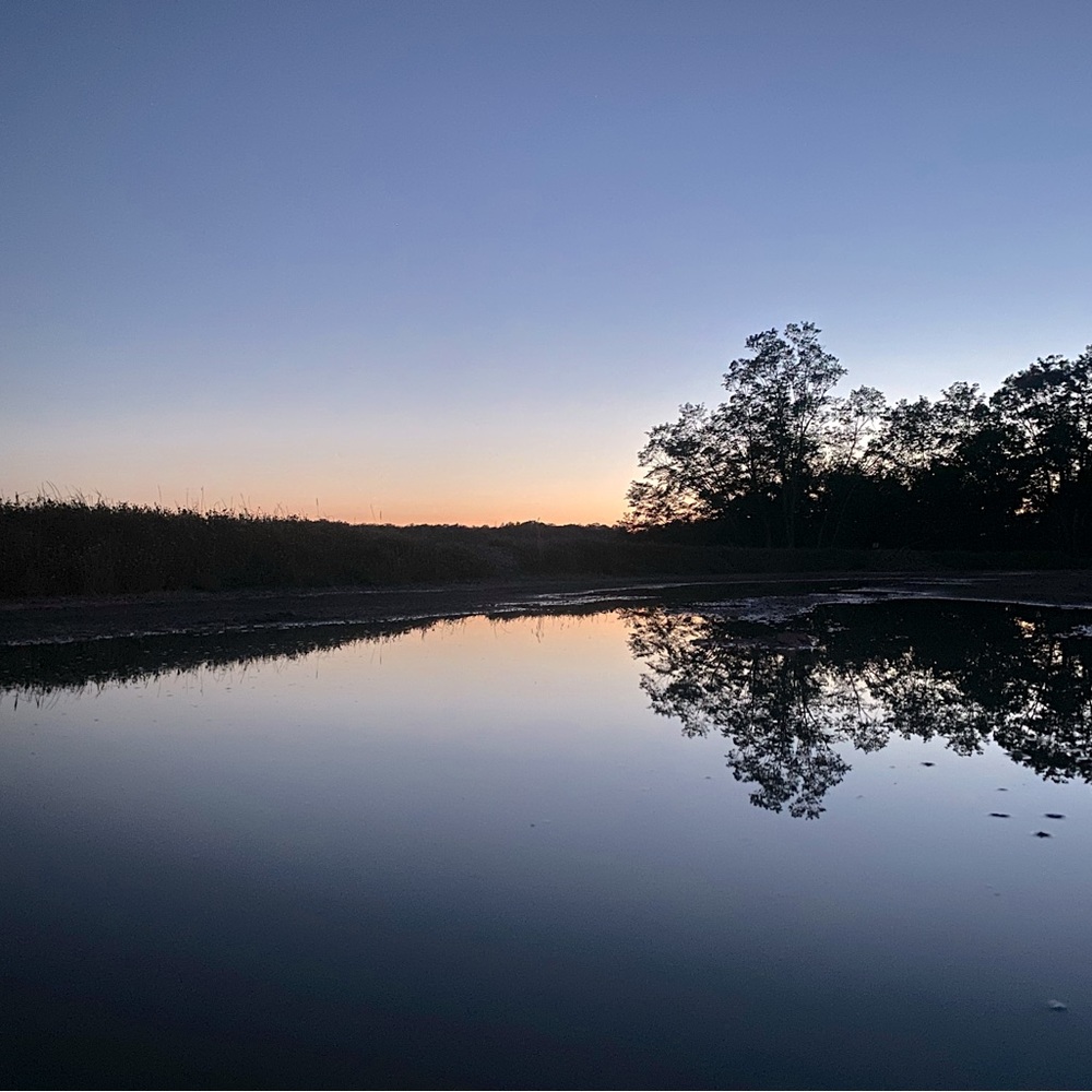 Meet your Posher, Cortney